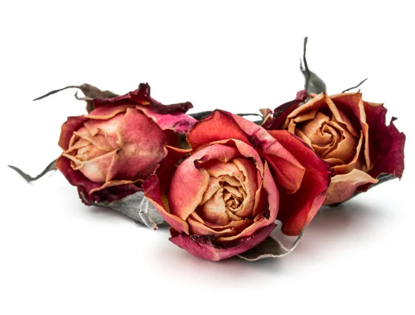 Сушеные розовые цветы — стоковое фото
