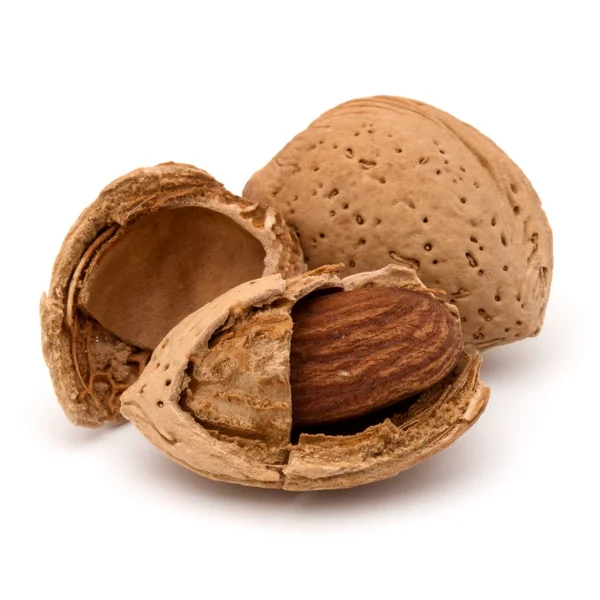 Mandel nötter med skal — Stockfoto