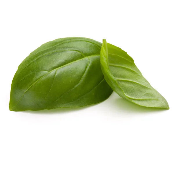 Sweet basil leaves — Stock Photo, Image