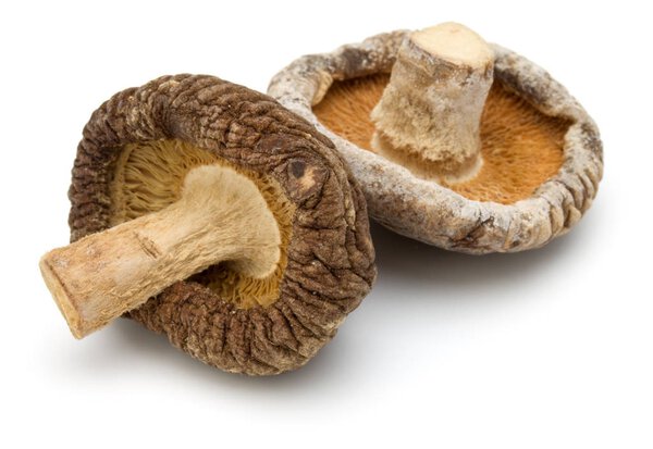 Dried Shiitake Mushrooms