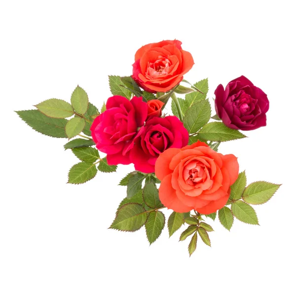 Roze bloemen boeket — Stockfoto