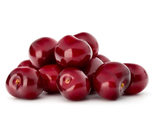 Sweet cherry fruits — Stock Photo, Image