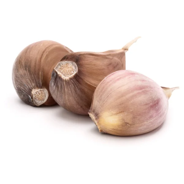 Dry garlic cloves — Stock Photo, Image