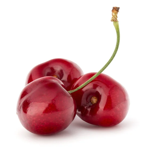 Sweet cherry fruits — Stock Photo, Image