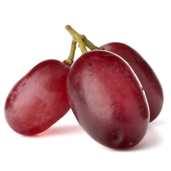 Ramo de uva roja — Foto de Stock