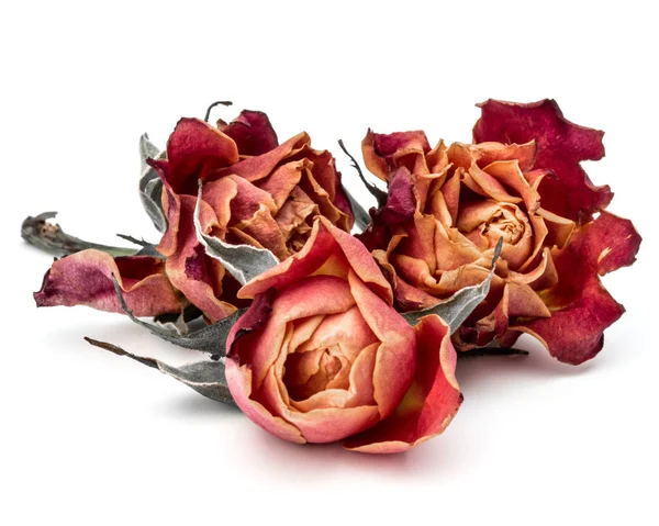 Αποξηραμένα λουλούδια τριαντάφυλλο — Φωτογραφία Αρχείου
