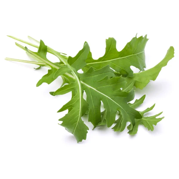 Foglie di rucola fresca — Foto Stock