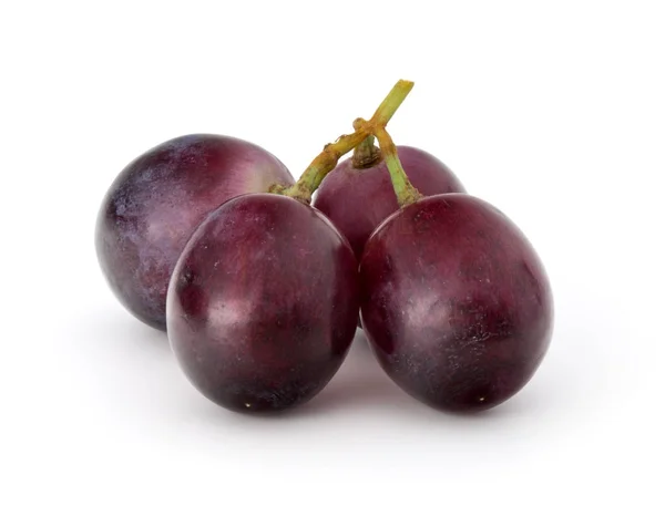 Grappolo d'uva rossa — Foto Stock