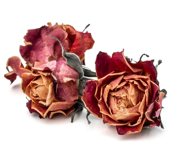 Dried rose flowers — Stock Photo, Image