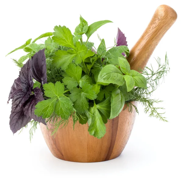 Taze baharatlar ve bitkiler. 