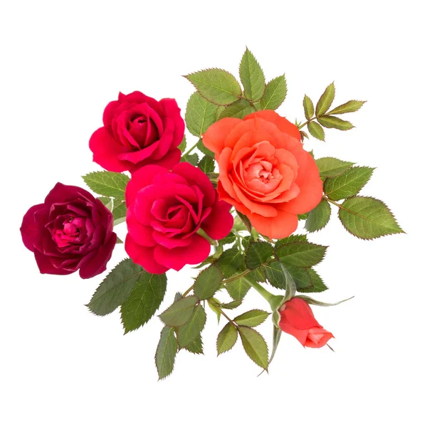 Rosa blommor bukett — Stockfoto