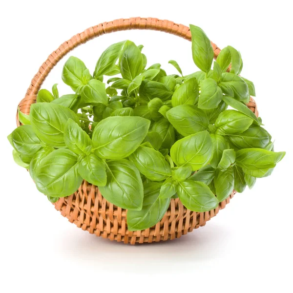 Sepet içinde fesleğen yaprakları 