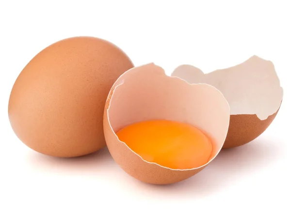 Telur pecah dalam cangkang telur — Stok Foto