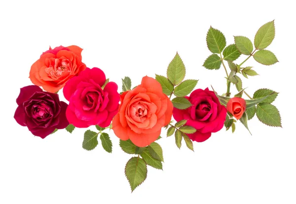 Rose flowers bouquet — Stock Photo, Image