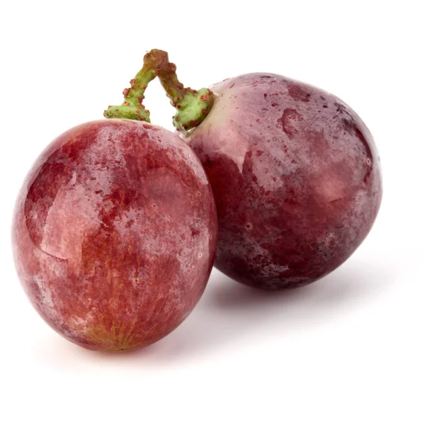 Cacho de uvas vermelhas — Fotografia de Stock
