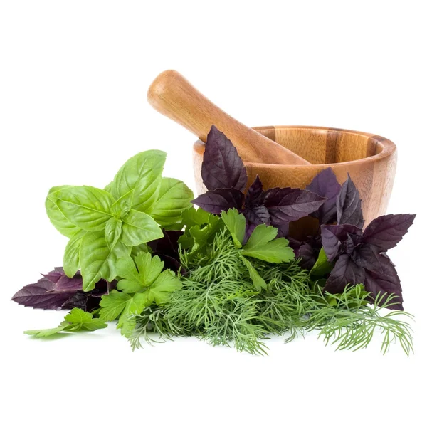 Taze baharatlar ve bitkiler. 