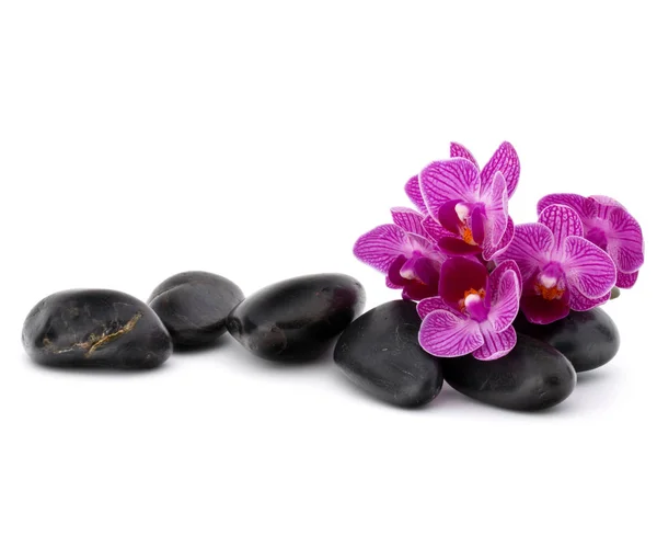 Calhaus e flores de orquídeas de zen — Fotografia de Stock