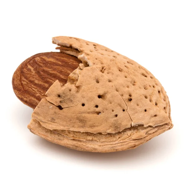 Badem fındık kabuklarında 