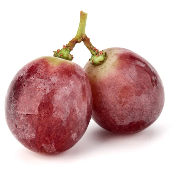 Ramo de uva roja —  Fotos de Stock