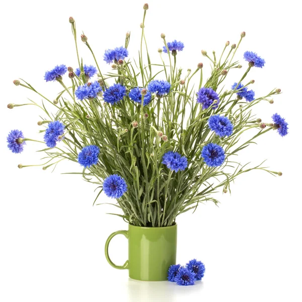 Kék Búzavirág csokor — Stock Fotó
