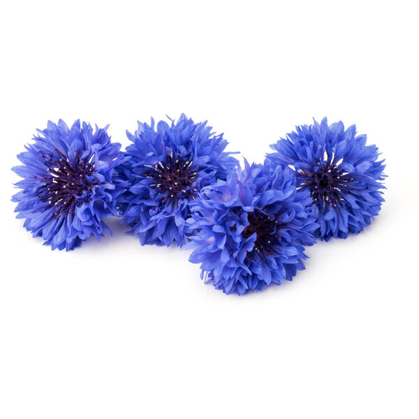 Букет из голубых васильков
