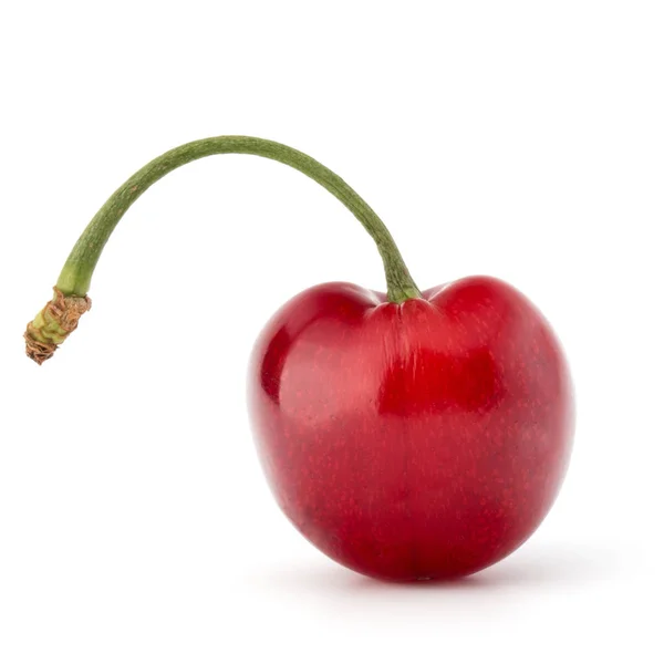 Sweet cherry fruit — Stock Photo, Image