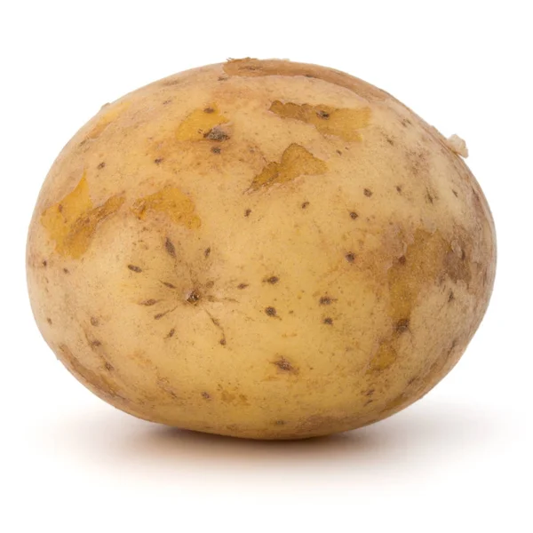 Fresh potato tuber — Stock Photo, Image