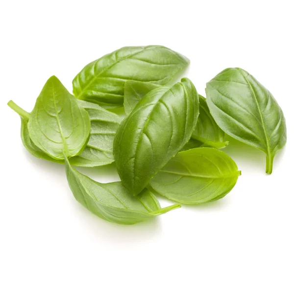 Daun manis Basil — Stok Foto