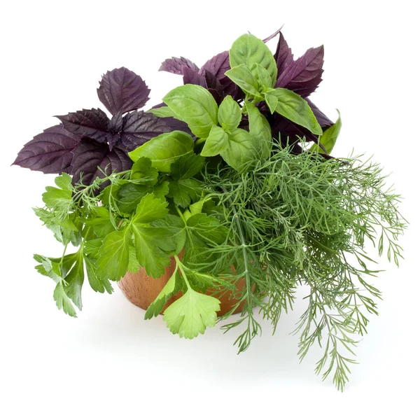 Taze baharatlar ve bitkiler. 