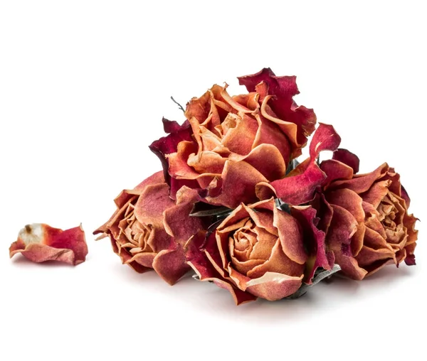 Suszone kwiaty róży — Zdjęcie stockowe