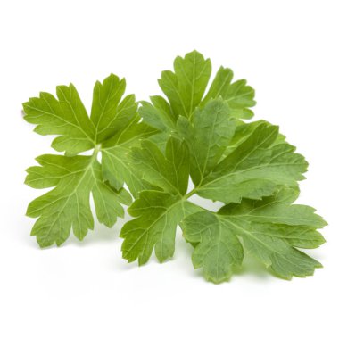 taze maydanoz yaprakları 