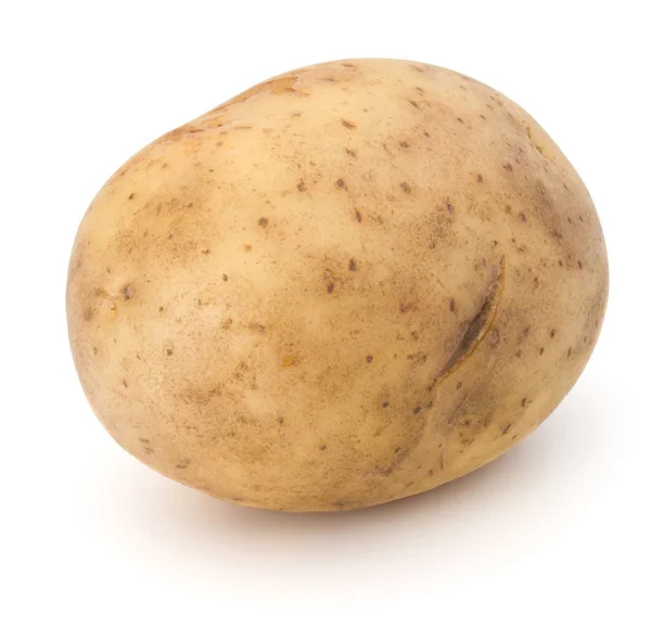 Yeni patates yumru — Stok fotoğraf