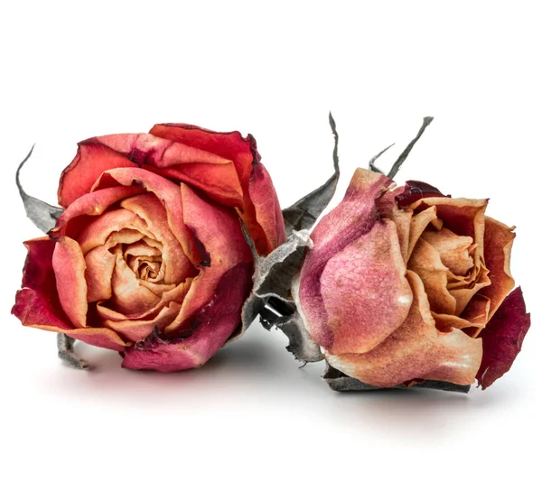 kurutulmuş gül çiçek