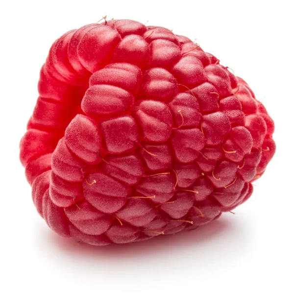 新鲜成熟莓 — 图库照片