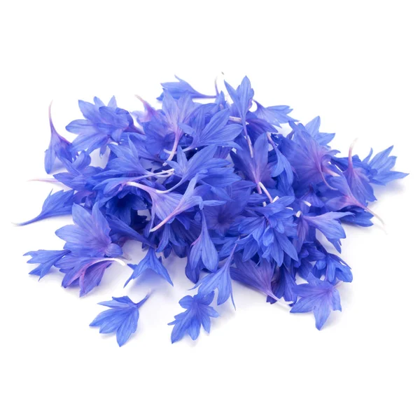 Blaue Kornblumen Kräuter — Stockfoto