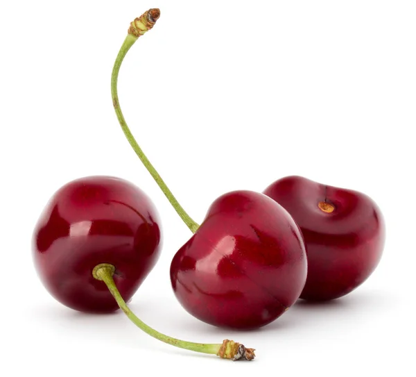 Sweet cherry fruits — Stock Photo, Image