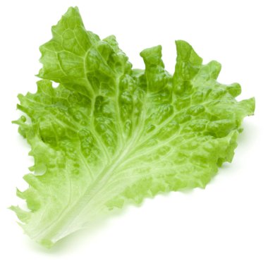 Yeşil marul yaprakları 