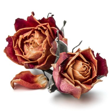 kurutulmuş gül çiçek