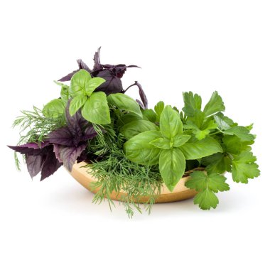 Taze baharatlar ve bitkiler. 