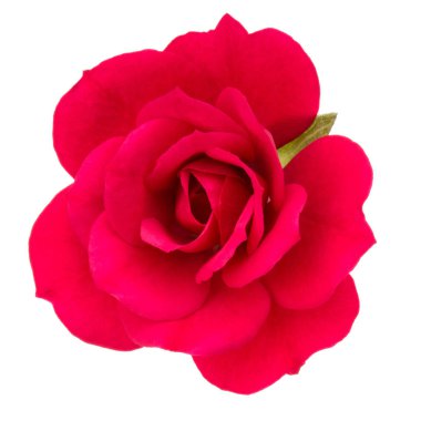 kırmızı gül çiçek