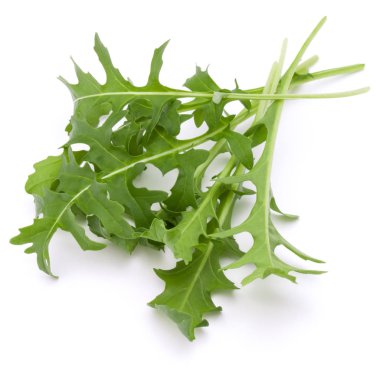 taze rucola yaprakları