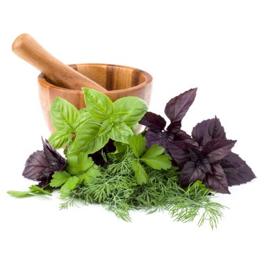 Taze baharatlar ve bitkiler. 