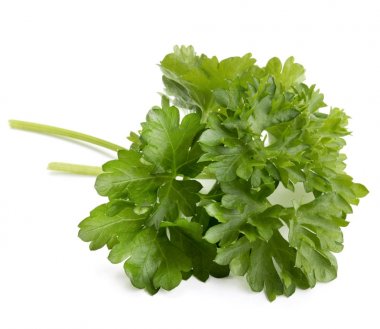 taze maydanoz yaprakları 