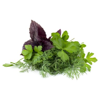 Taze baharatlar ve bitkiler. 