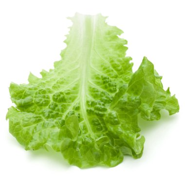 Yeşil marul yaprakları 