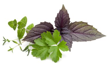 Çeşitli taze ot bırakır 