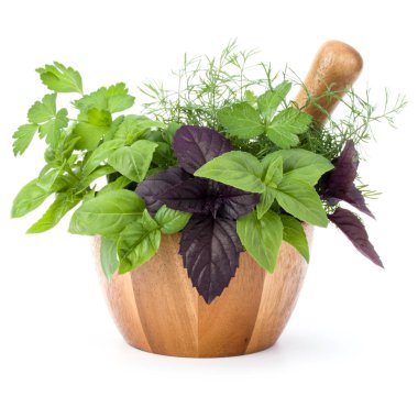 Taze baharatlar ve bitkiler. 