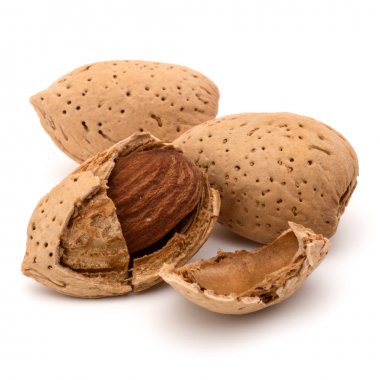 Badem fındık kabuklarında 