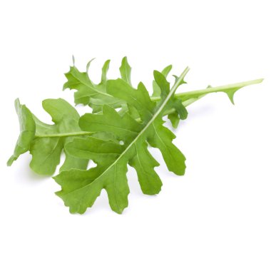 taze rucola yaprakları