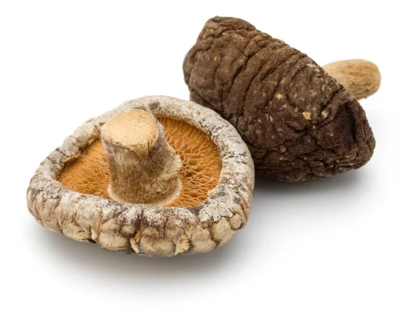 Funghi shiitake secchi — Foto Stock